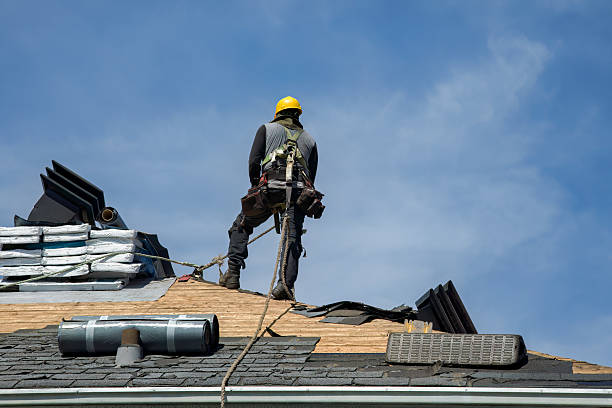 Professional Flat Roof Repair technician working in Palo, IA